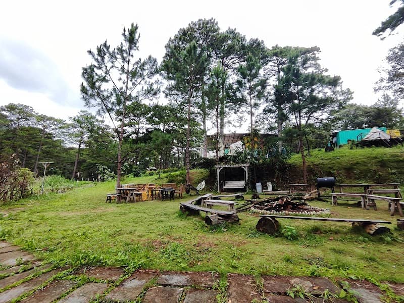View đồi thông Ajisai Glamping