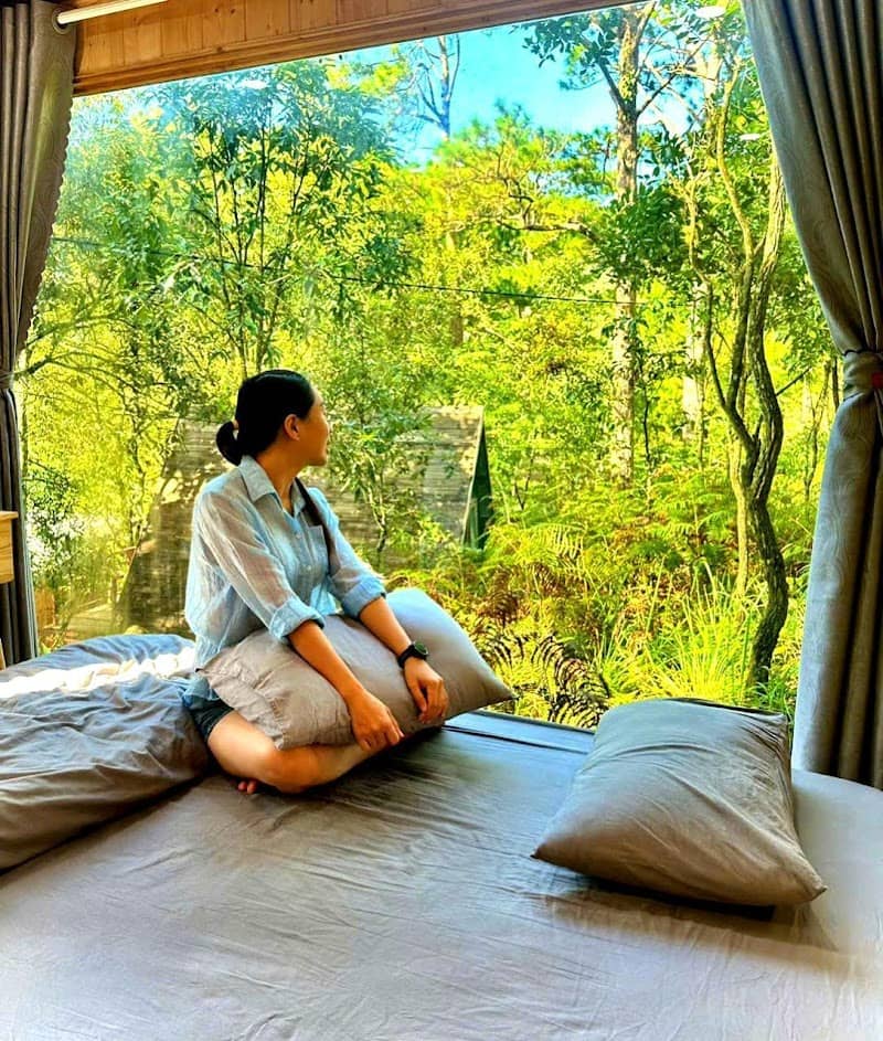 Ajisai Glamping Có Gì Hấp Dẫn? Review & Kinh Nghiệm Du Lịch Chi Tiết
