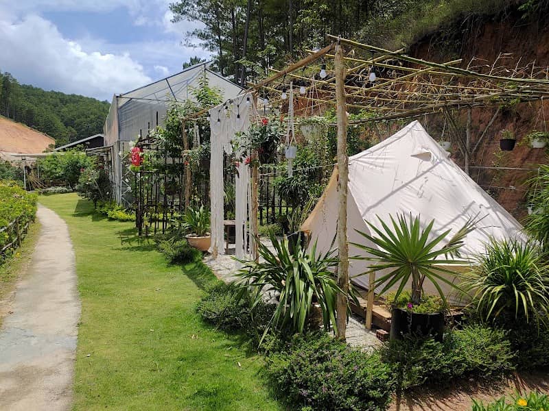 Amikaje Farm - Glamping & BBQ: Trải Nghiệm "Healing" Giữa Lòng Đà Lạt Mộng Mơ