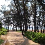 Review Bãi biển Đồi Dương – Tất Tần Tật Kinh Nghiệm Du Lịch Chi Tiết