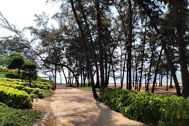 Review Bãi biển Đồi Dương – Tất Tần Tật Kinh Nghiệm Du Lịch Chi Tiết