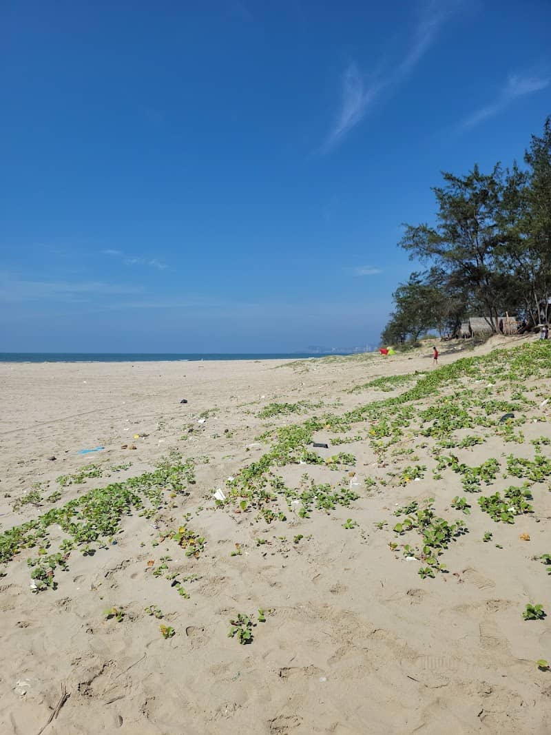 Cảnh đẹp Bãi biển Đồi Nhái