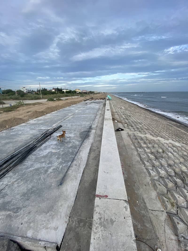 Đặc sản hải sản Bình Thuận