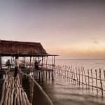 Review Bãi bồi Đất Mũi – Tất Tần Tật Kinh Nghiệm Du Lịch Chi Tiết