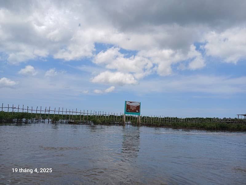Cầu khỉ và rừng đước tại Đất Mũi