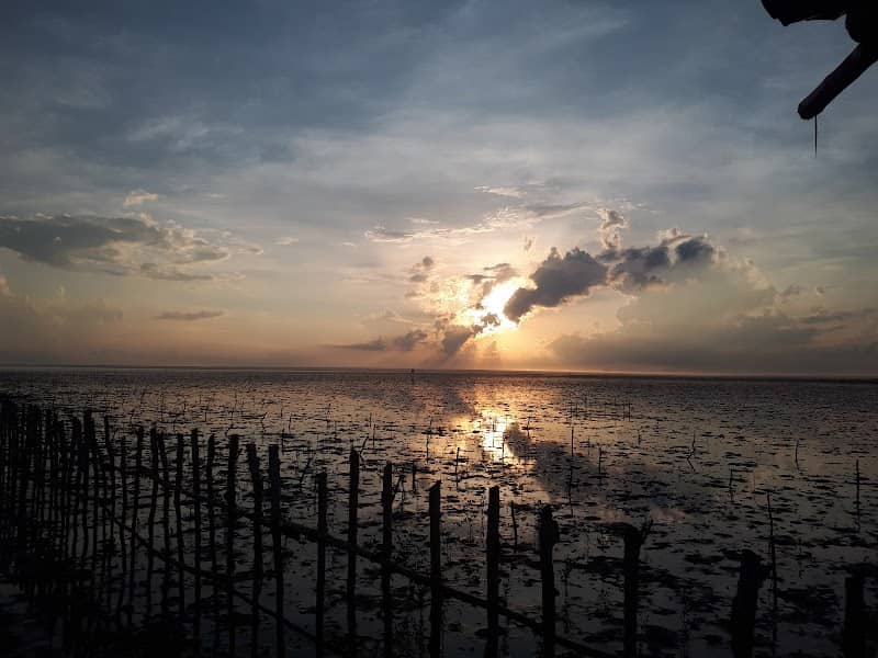 Cảnh hoàng hôn tuyệt đẹp tại Bãi bồi Đất Mũi