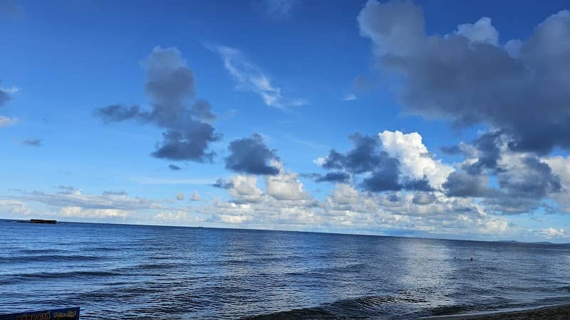 Hoạt động trên Bãi Trường