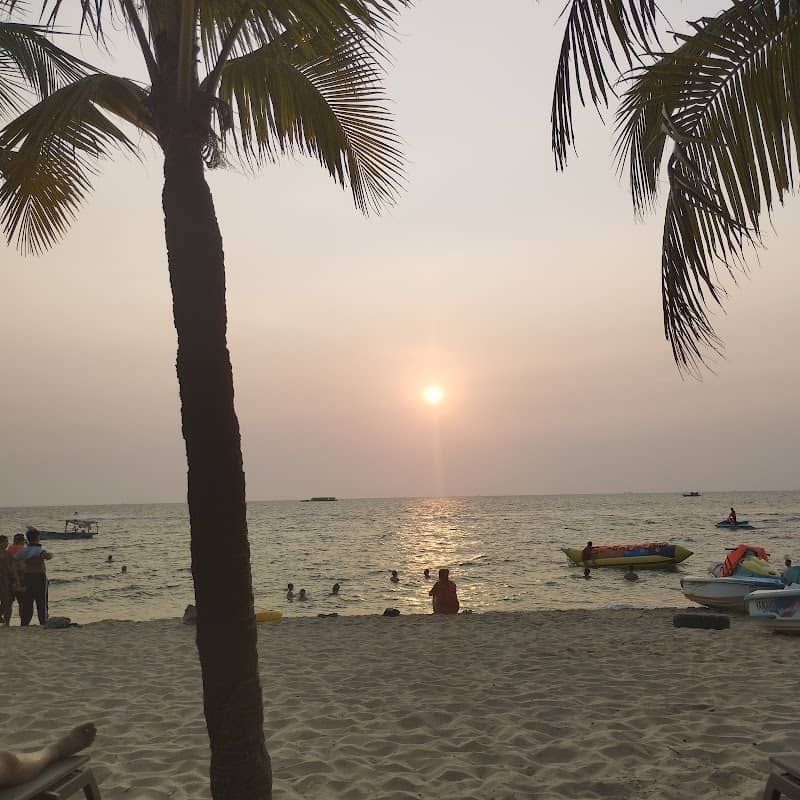 Toàn cảnh Bãi Trường