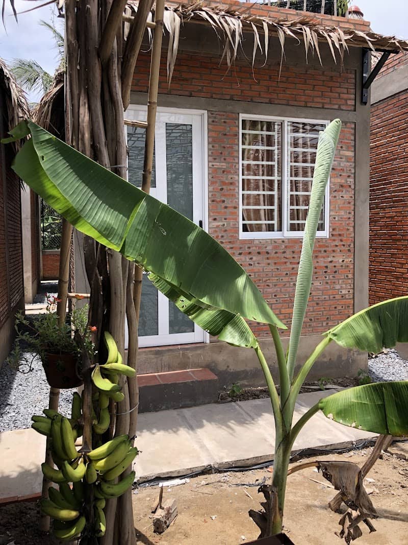 Phòng nghỉ tại Bầu Bí Mini Farmstay
