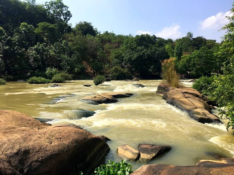 Con đường xuyên rừng Bàu Nước Sôi