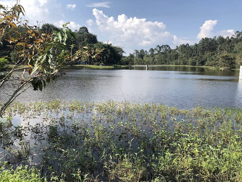 Thác Mai tại KDL Bàu Nước Sôi