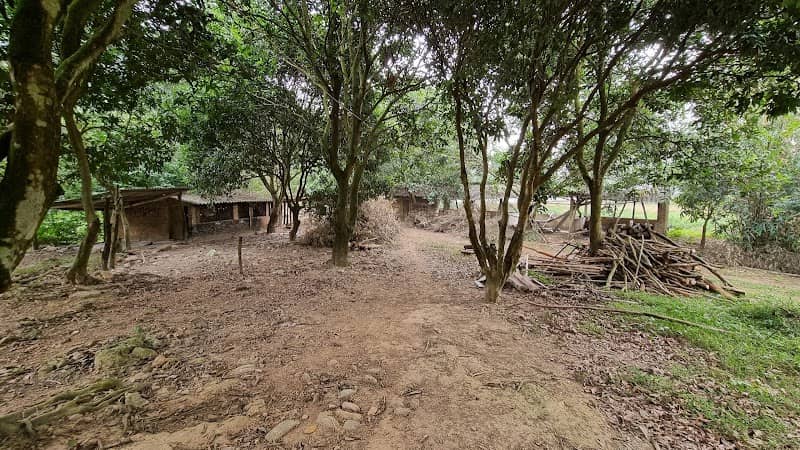 Hoạt động chèo thuyền tại Boar Glamping