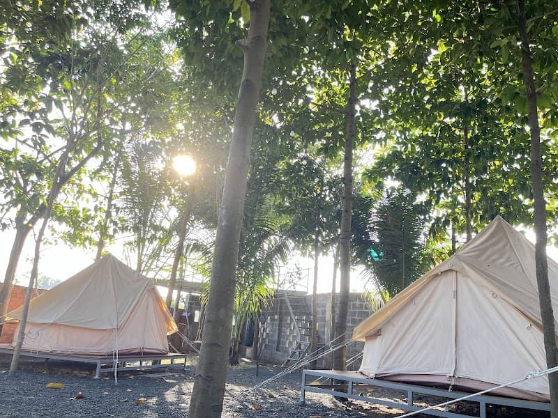 BỤI Homestay & Glamping Phước Hải: Có Gì Hấp Dẫn? Review & Kinh Nghiệm Du Lịch Chi Tiết