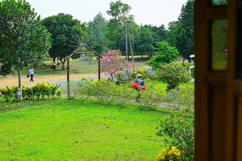 Hoạt động vui chơi Camping Đồng Mô