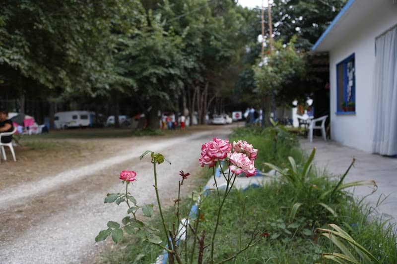 Camping Kapıdağ - Cảnh lều trại gần biển
