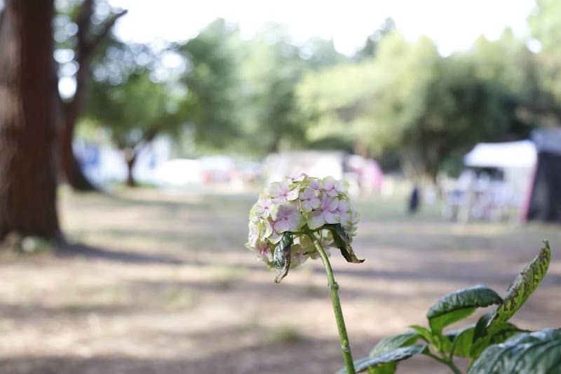 Camping Kapıdağ - Cảnh biển và núi
