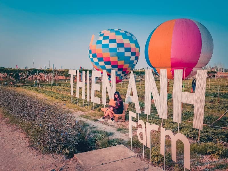 Review Cánh đồng hoa Thiên Anh