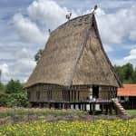 Review Cánh Đồng Hoa Thiên Thai – Trải Nghiệm Du Lịch Đầy Nắng Và Gió Tại Củ Chi