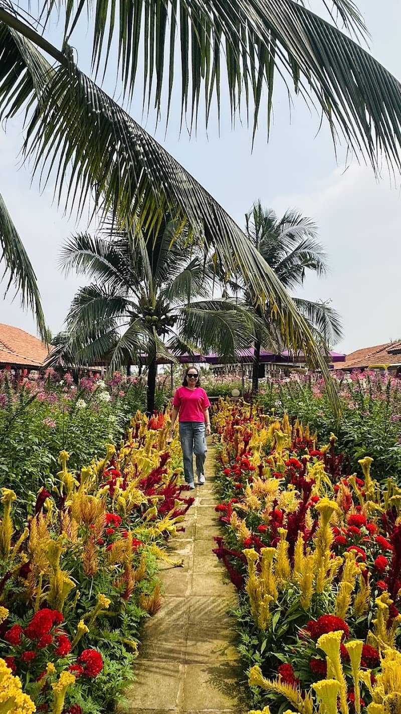 Hoạt động vui chơi Cánh Đồng Hoa Thiên Thai