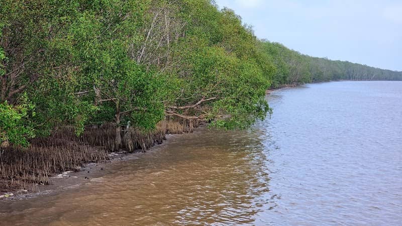 Cầu tàu biển Mỹ Long