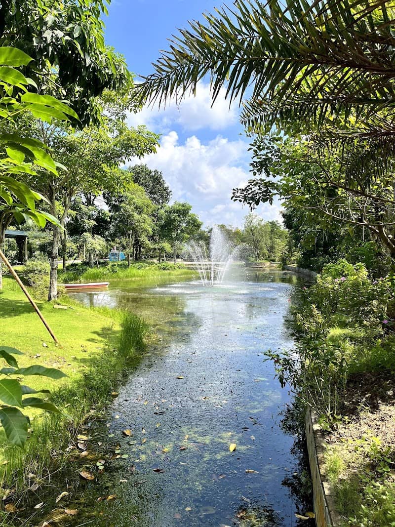 Chavi Garden Long An - Vườn hoa check-in