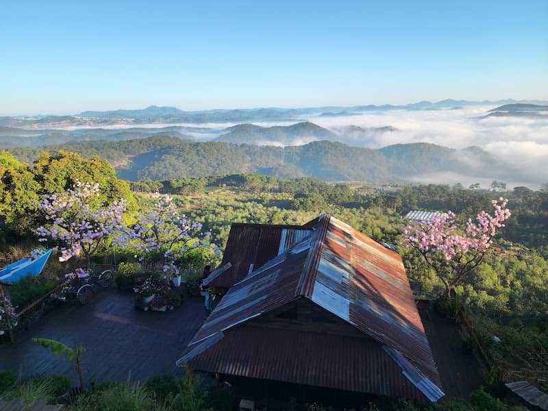 Cloud View Glamping - Hoạt động BBQ