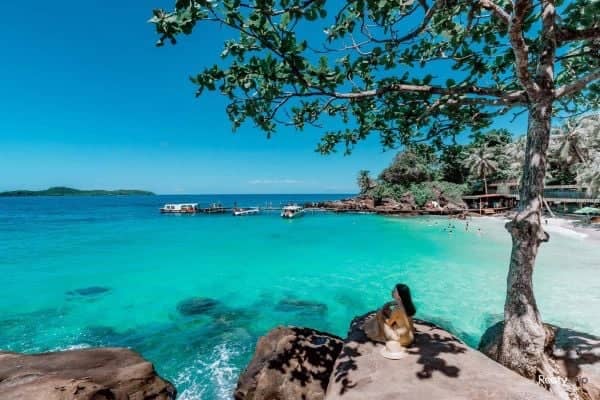 Công Ty TNHH Dịch Vụ Thương Mại Du Lịch Đảo Ngọc