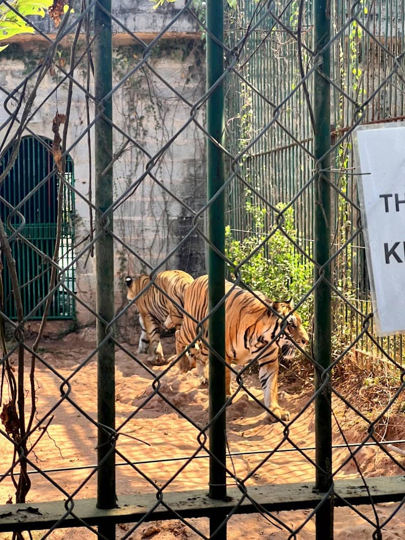 Công viên nước Mỹ Quỳnh Safari