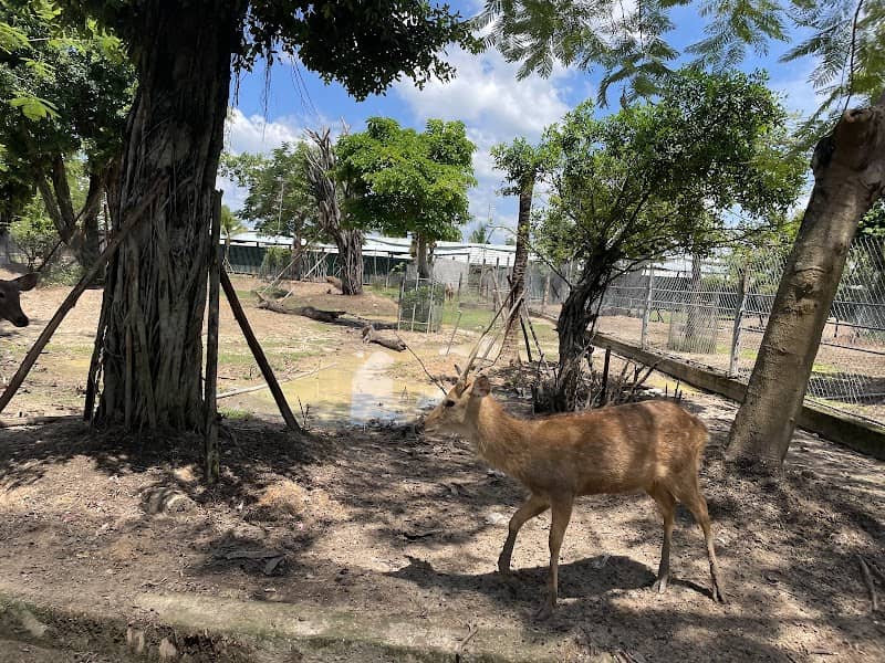 Máng trượt nước tại Mỹ Quỳnh Safari