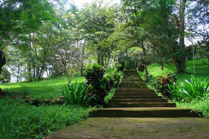 Cảnh đẹp Công viên văn hóa Suối Tre