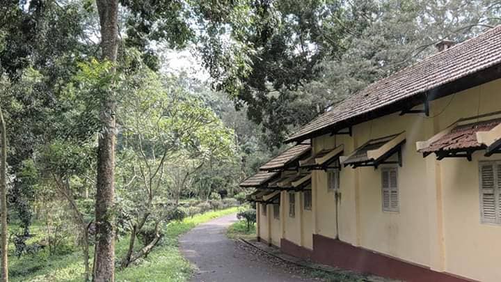 Không gian xanh Công viên Suối Tre