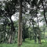 Review Công viên văn hóa Suối Tre – Cẩm Nang Du Lịch