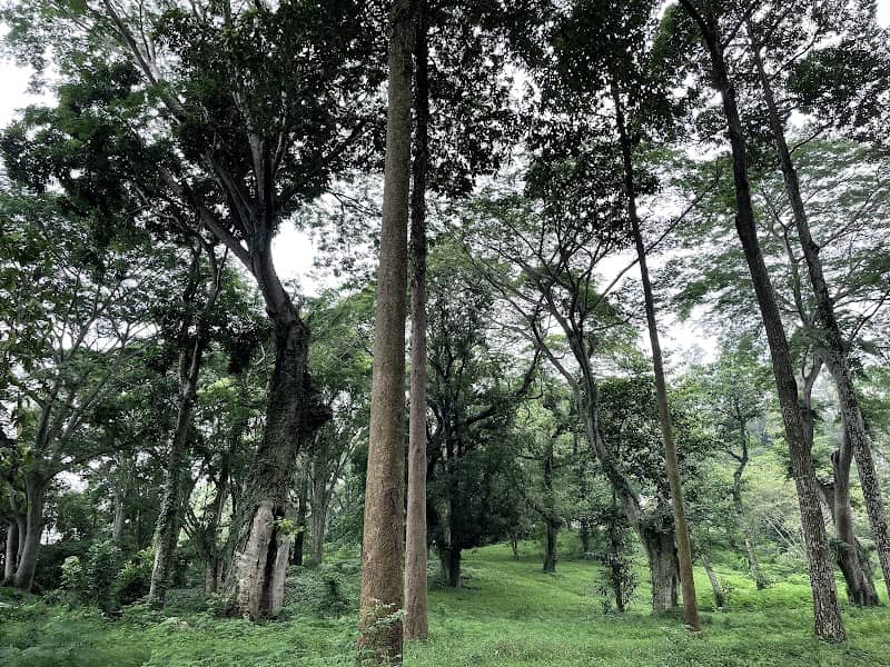 Review Công viên văn hóa Suối Tre – Cẩm Nang Du Lịch