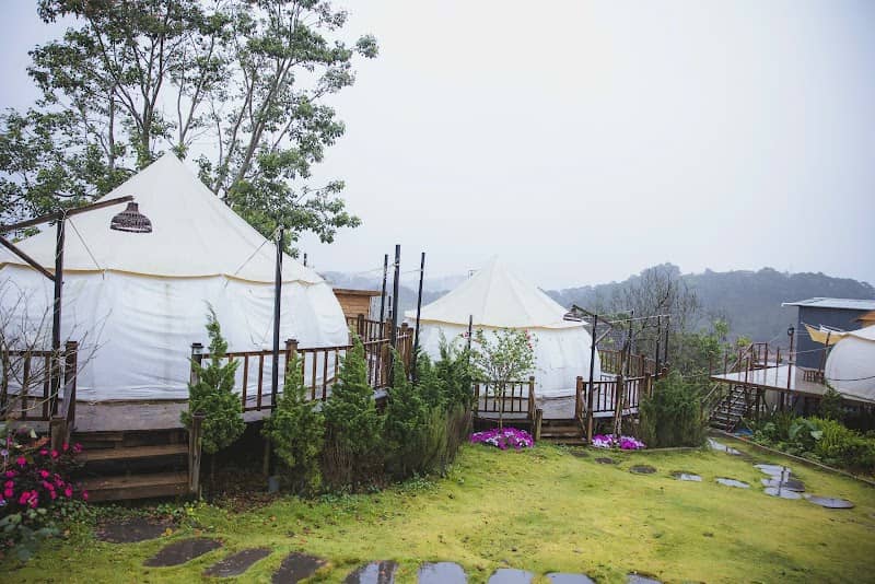 DaLart Glamping - Lều view thung lũng