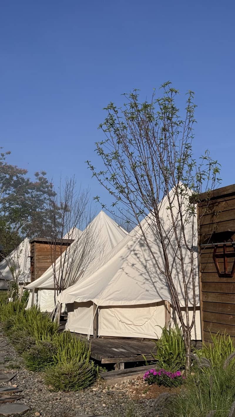 DaLart Glamping - Khoảng sân chung lãng mạn