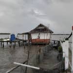 Đầm Thị Tường homestay 3 hùng Cà Mau Có Gì Hấp Dẫn? Review & Kinh Nghiệm Du Lịch Chi Tiết