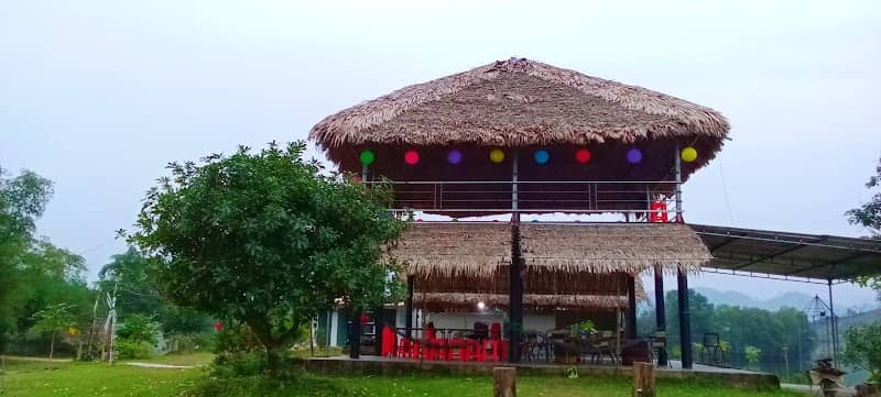 Đảo Chè Thanh Chương