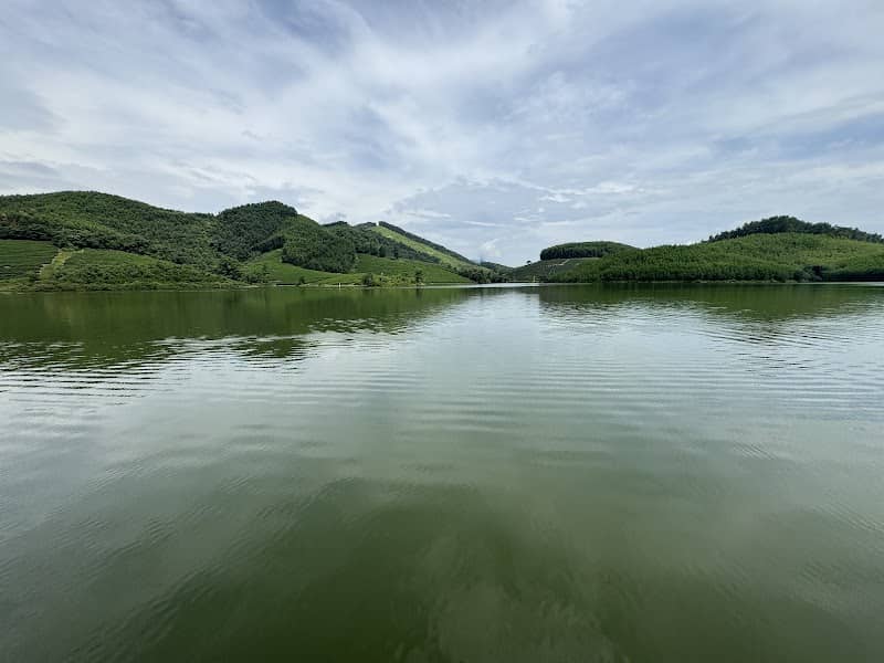 Đảo Chè Thanh Chương