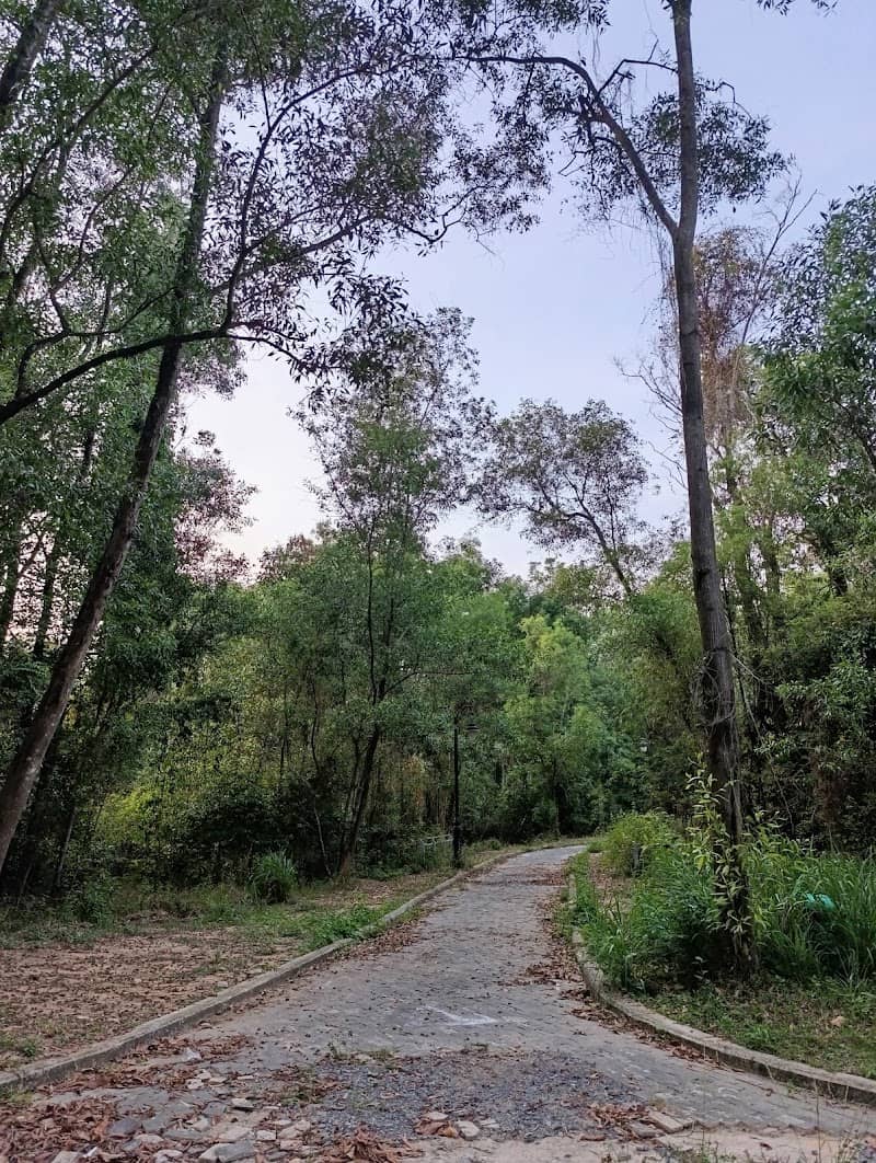 Khám Phá Hố Lang