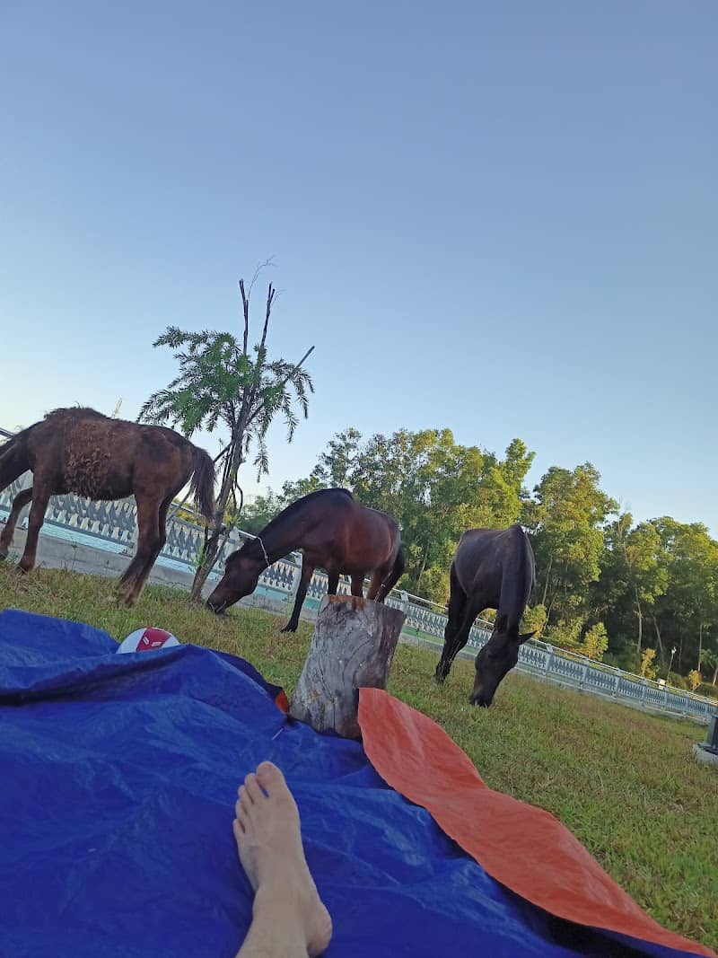 Di Tích Hố Lang Bình Dương