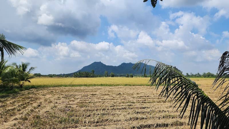 Di tích Văn hóa Óc Eo Gò Cây Thị
