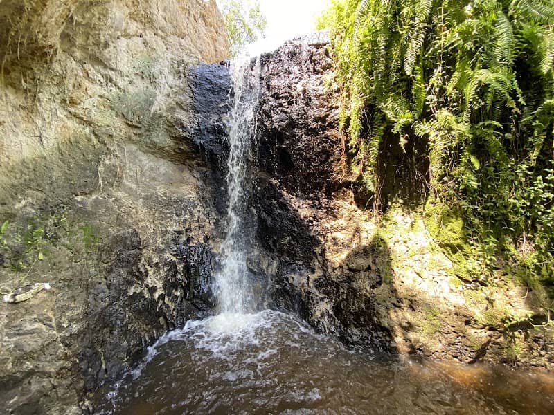 Du khách trải nghiệm lội Suối Tiên