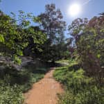 Review Suối Tiên – Cẩm Nang Du Lịch "Tiểu Cửu Trại Câu" của Phan Thiết