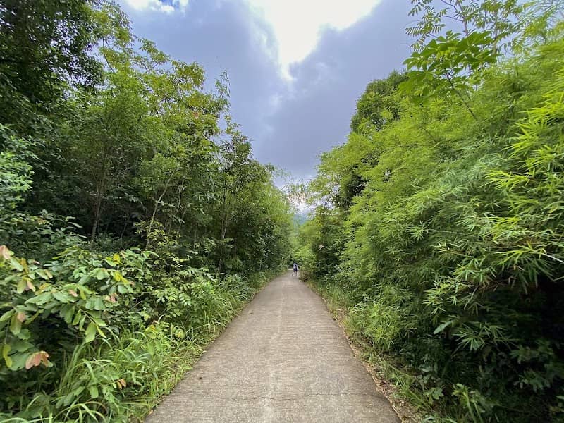 Hoạt động ở Núi Dinh