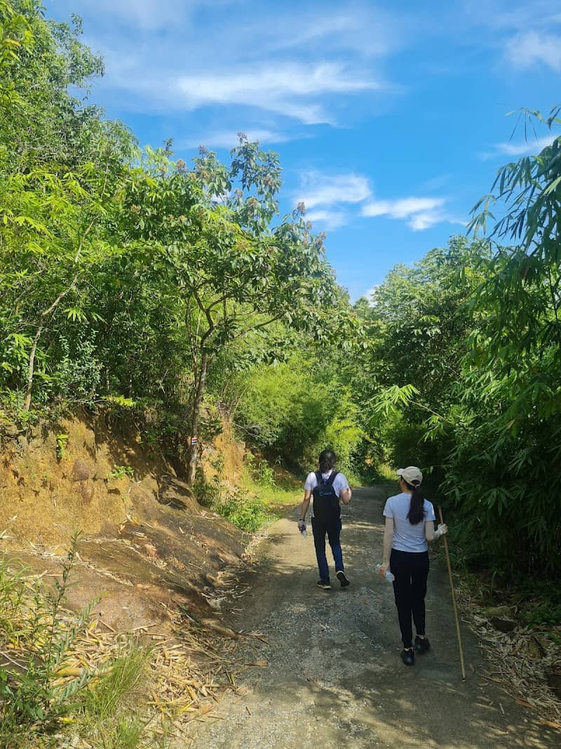 Chi phí Núi Dinh