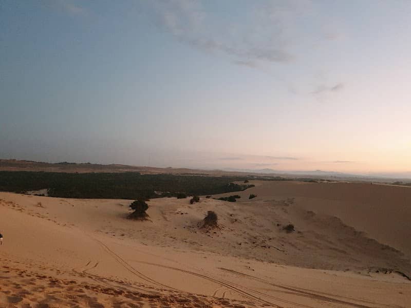 Review Đồi Cát Hòa Thắng – Kinh Nghiệm Du Lịch & Cảm Xúc Khám Phá