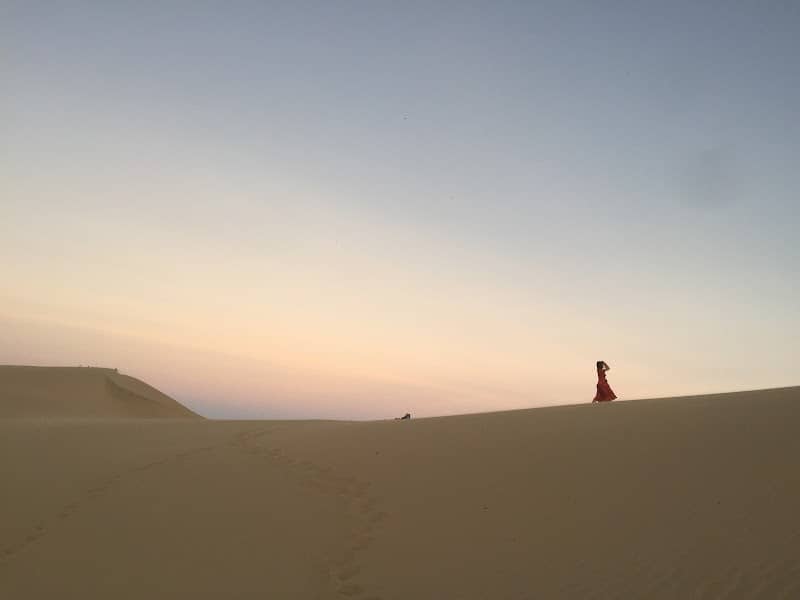 Đồi cát Nam Cương với bụi cây xương rồng