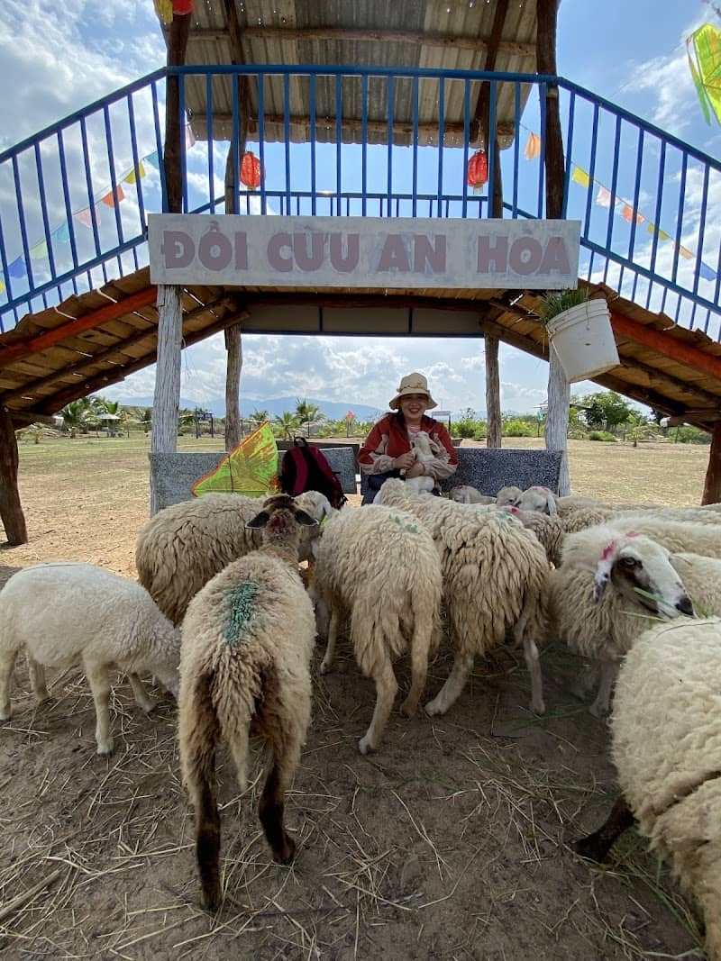 Đàn cừu An Hòa