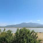 Review Đồi Cừu Tuấn Quảng – Kinh Nghiệm Du Lịch "Đốn Tim" Cùng Bầy Cừu Siêu Dễ Thương