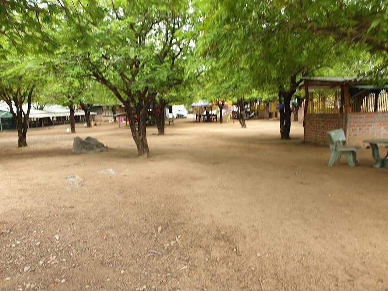 Đồi cừu Tuấn Quảng - Cảnh đẹp